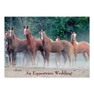 Formal An Equestrian Wedding Invitation Horse Love