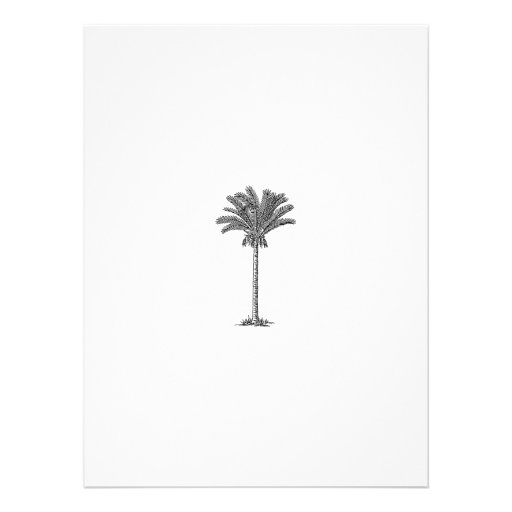Formal Elegant Palm Tree Tropical Island Wedding Announcements