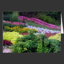 Formal Garden cards