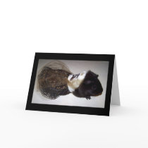Formal Guinea Pig Note Card