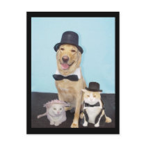 Formal Postcard