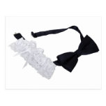 FormalAccessories031910 Postcards
