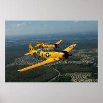 Formation Flying T6 Style Print
