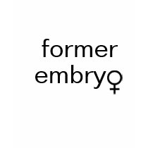former embryo (female) t-shirts
