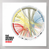 Formula Project Picture 61 posters