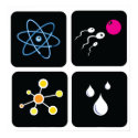 Formula Project square-set-2 posters