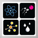 Formula Project square-set-2 posters