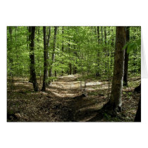 Forrest cards