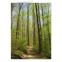 Forrest cards