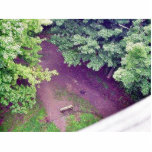 Forrest From Wisconsin Park Tower