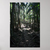 Forrest Walk Posters