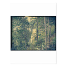 Forst in Germany Postcards