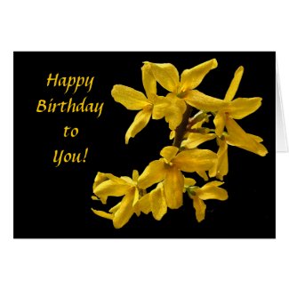 Forsythia Birthday Card
