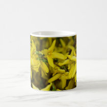 Forsythia Blooms mugs by Kat_Su Forsythia Blooms mugs