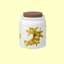 Forsythia Candy Jar candy jars