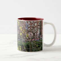 Forsythia Coffee Mugs