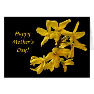 Forsythia Mothers Day Card