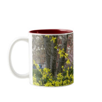 Forsythia mugs