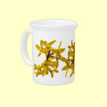 Forsythia Pitcher pitchers