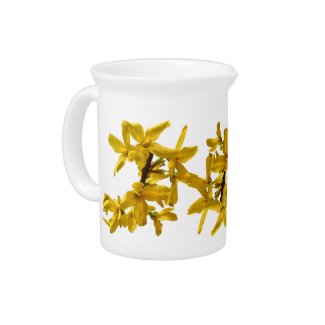 Forsythia Pitcher