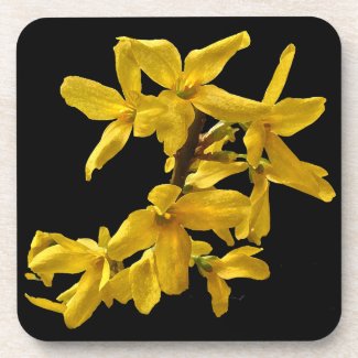 Forsythis Coasters
