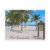 lauderdale, fort lauderdale, florida, bay, beach,