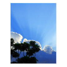 Fort Lauderdale, Florida Sunset Postcards