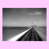 Fort Myers Beach Florida , USA posters