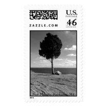 Fort Phoenix Tree postage