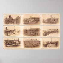 Forts Sumter & Moultrie
