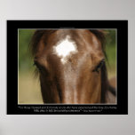 FORTUNATE ~ Chestnut Horse Photo Poster