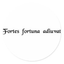 Fortune favors the bold. sticker
