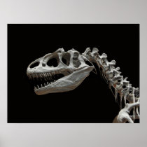 Fossil allosaurus head and neck posters