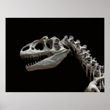 Fossil allosaurus head and neck posters