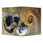 Fossil Avery Binder