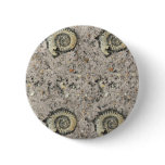 fossil background buttons
