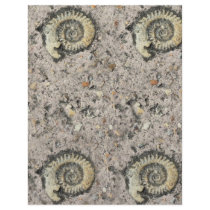 fossil background letterhead template