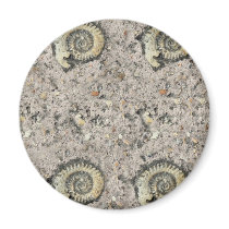 fossil background fridge magnets