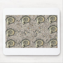 fossil background mousepads