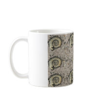 fossil background mugs