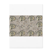 fossil background postcards