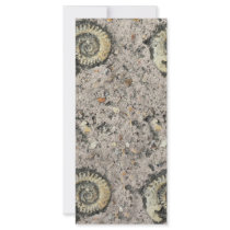 fossil background rack cards by Ljrigg fossil background rack cards