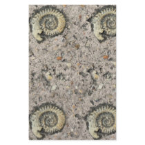 fossil background stationery