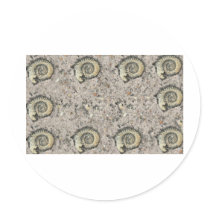 fossil background stickers