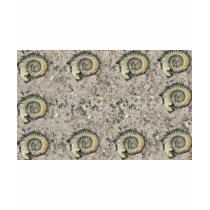 fossil background t-shirts