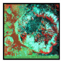 Fossil - Canvas posters by janettedengo Fossil - Canvas posters