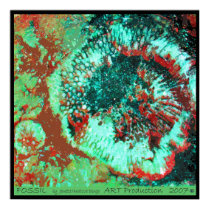 Fossil - Canvas posters
