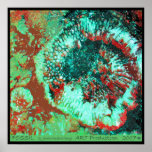 Fossil - Canvas Print