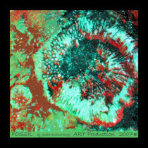 Fossil - Canvas posters