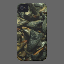 Fossil Crocodile Teeth iPhone Case casemate cases
